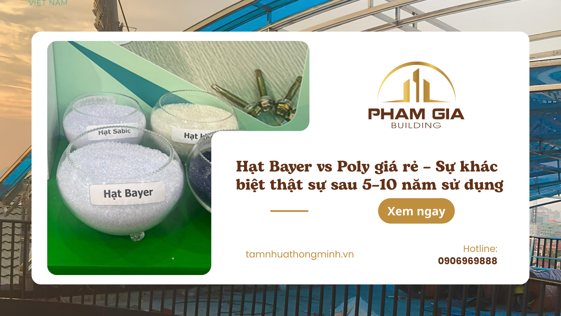 Hạt Bayer vs Poly giá rẻ – Sự khác biệt thật sự sau 5–10 năm sử dụng
